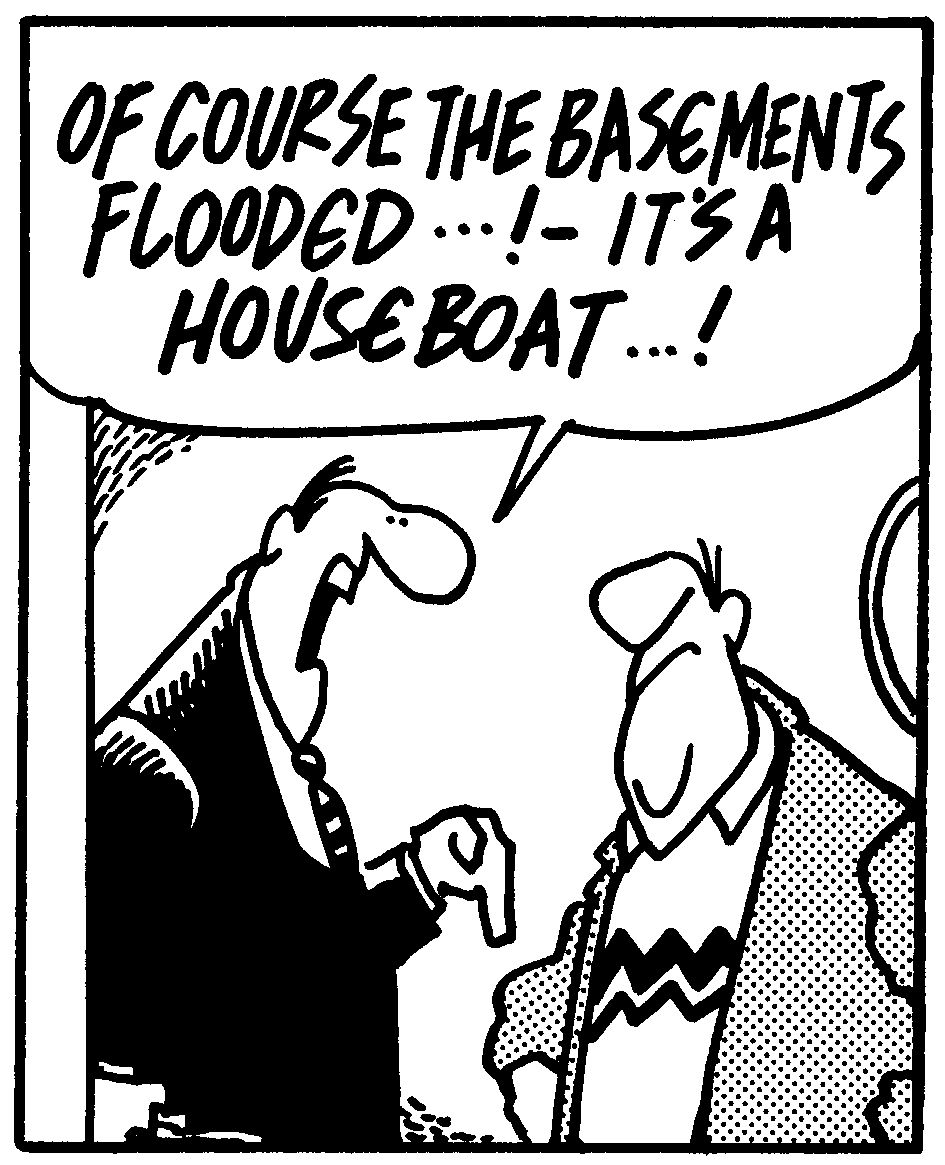 BasementFlood